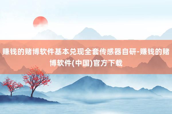 赚钱的赌博软件基本兑现全套传感器自研-赚钱的赌博软件(中国)官方下载