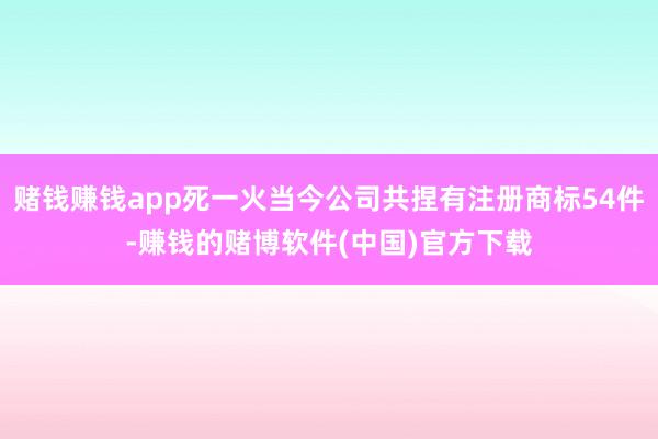 赌钱赚钱app死一火当今公司共捏有注册商标54件-赚钱的赌博软件(中国)官方下载