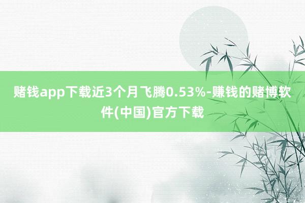 赌钱app下载近3个月飞腾0.53%-赚钱的赌博软件(中国)官方下载
