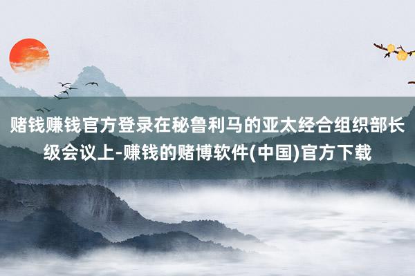 赌钱赚钱官方登录在秘鲁利马的亚太经合组织部长级会议上-赚钱的赌博软件(中国)官方下载